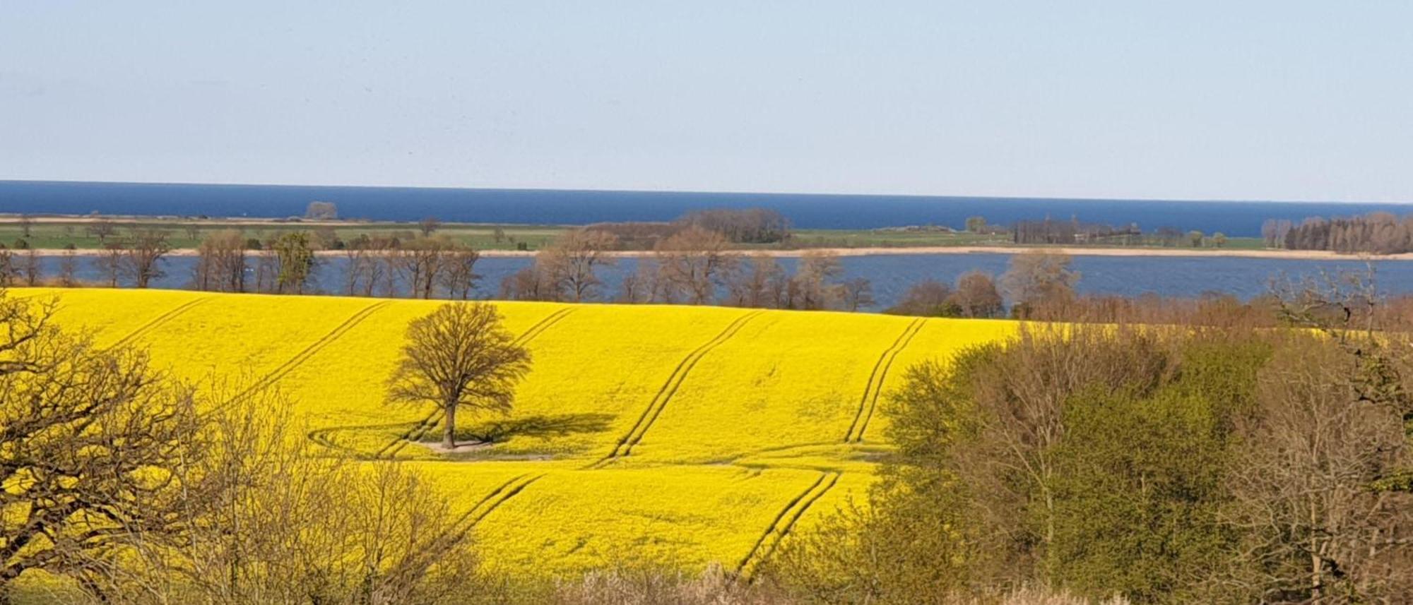 Martensrade Idyllisches-Blockbohlenhaus-Mit-Eigenem-Garten-Und-Sauna-Zum-Wohlfuehlen מראה חיצוני תמונה
