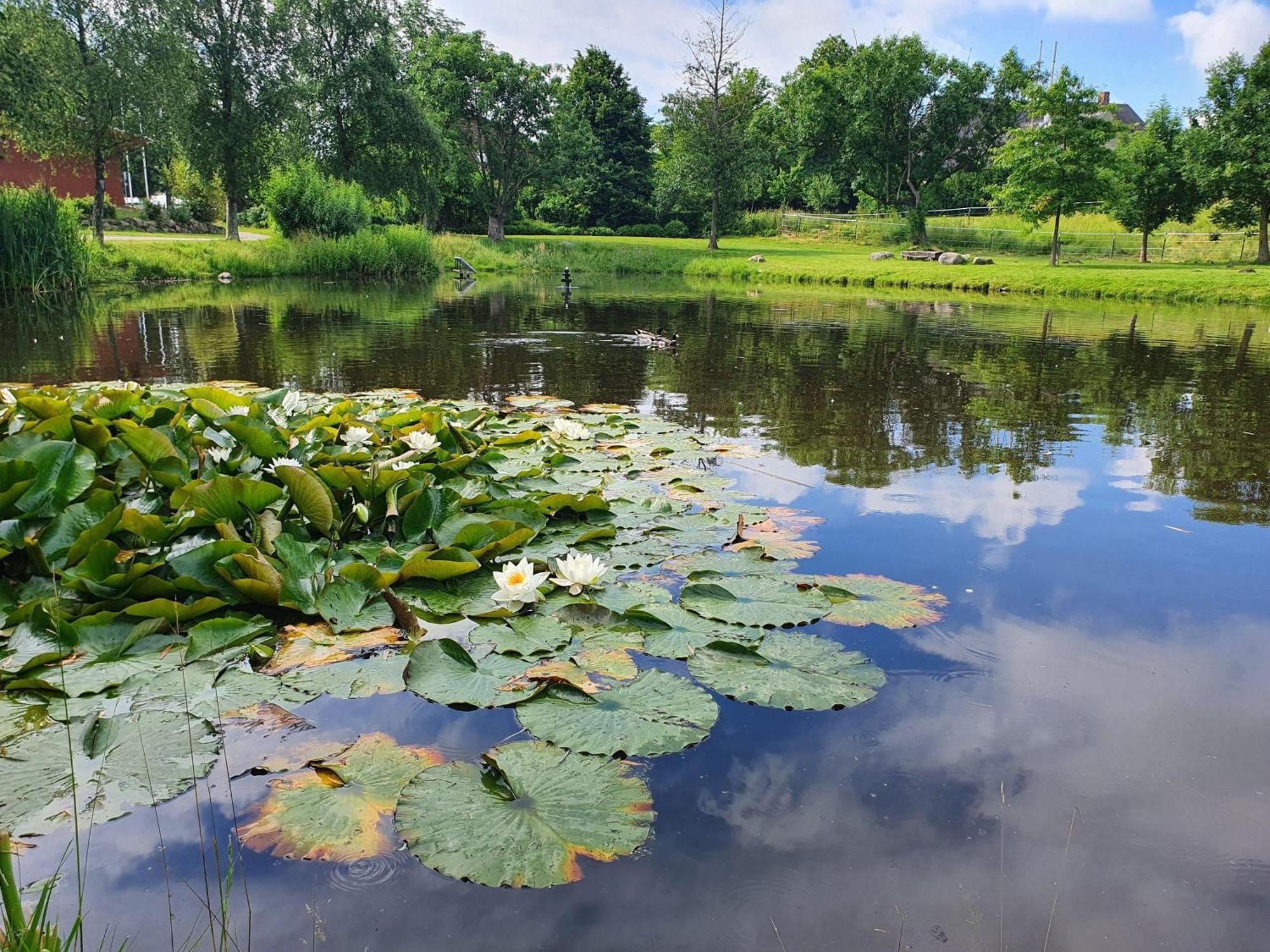 Martensrade Idyllisches-Blockbohlenhaus-Mit-Eigenem-Garten-Und-Sauna-Zum-Wohlfuehlen מראה חיצוני תמונה