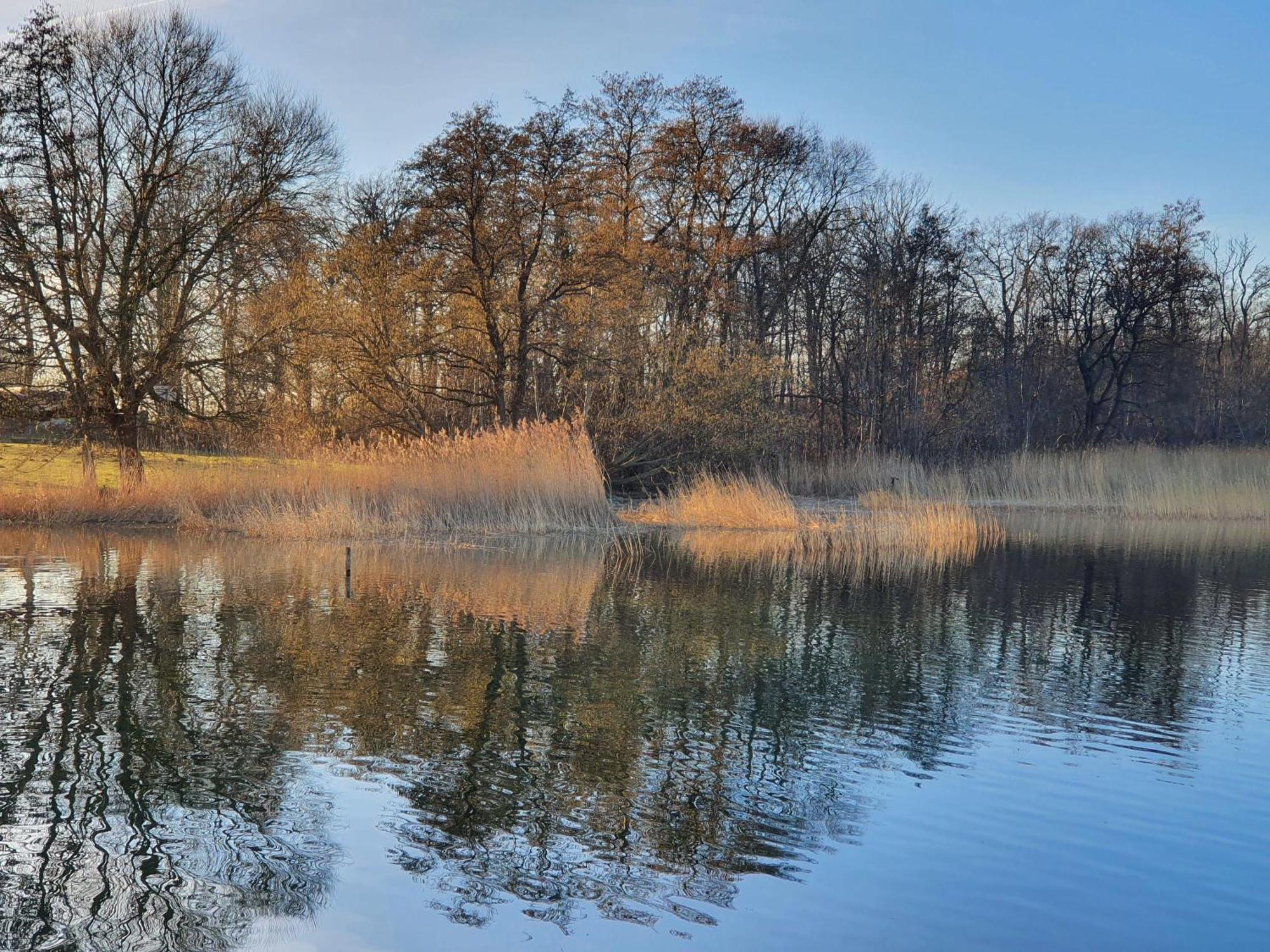 Martensrade Idyllisches-Blockbohlenhaus-Mit-Eigenem-Garten-Und-Sauna-Zum-Wohlfuehlen מראה חיצוני תמונה